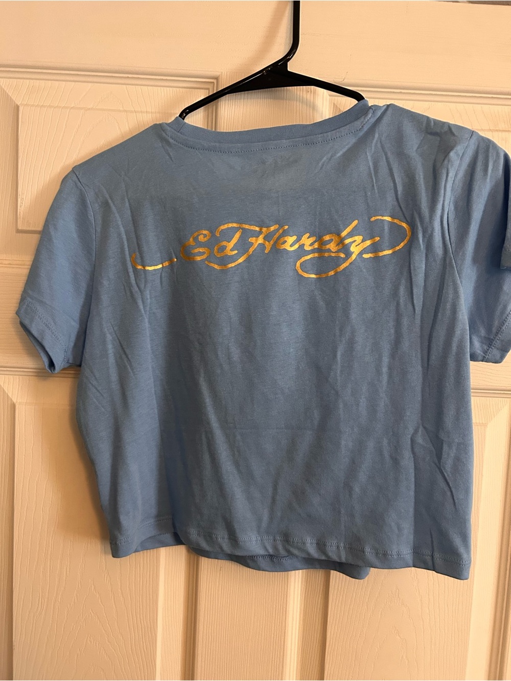 Ed Hardy Women’s Light Blue Graphic Crop Tee - Skunk Design - Picture 3 of 3